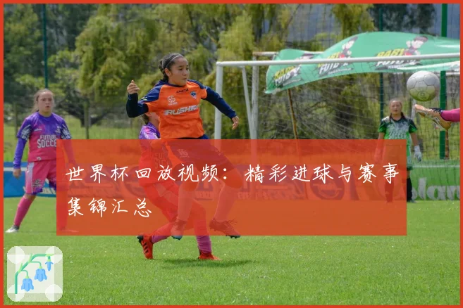 世界杯回放视频：精彩进球与赛事集锦汇总