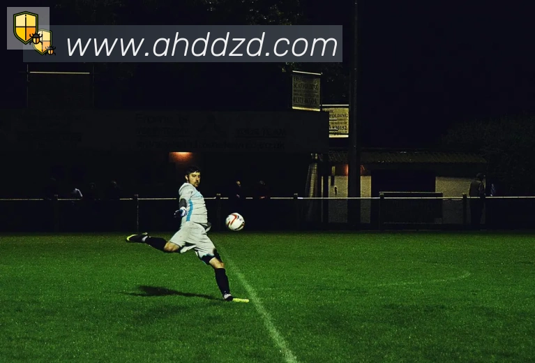 kaiyun平台生态图